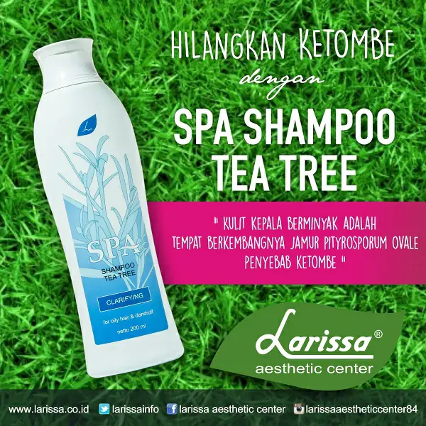 CEGAH KETOMBE SEKARANG JUGA DENGAN TEA TREE HAIR SHAMPOO LARISSA